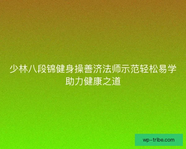少林八段锦健身操善济法师示范轻松易学助力健康之道
