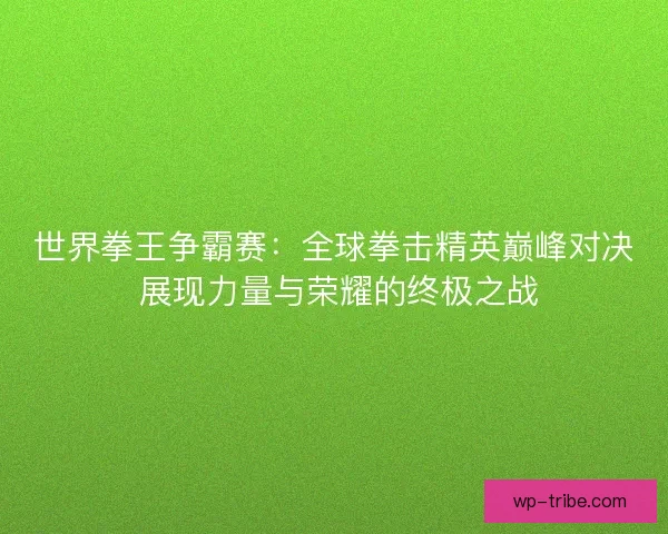 世界拳王争霸赛：全球拳击精英巅峰对决 展现力量与荣耀的终极之战