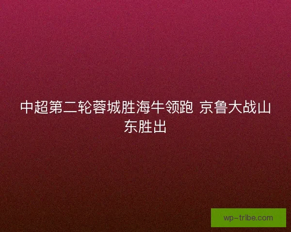 中超第二轮蓉城胜海牛领跑 京鲁大战山东胜出