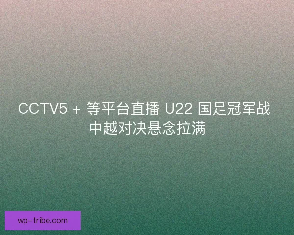 CCTV5 + 等平台直播 U22 国足冠军战 中越对决悬念拉满