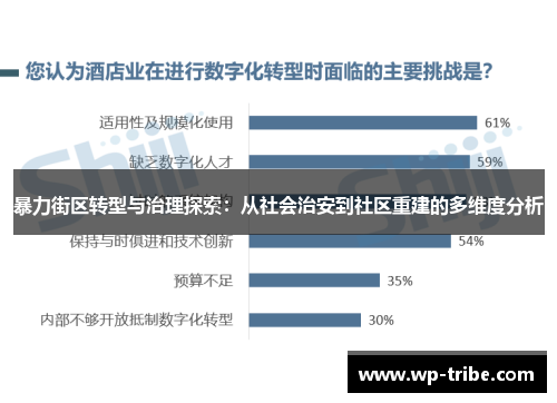 暴力街区转型与治理探索：从社会治安到社区重建的多维度分析