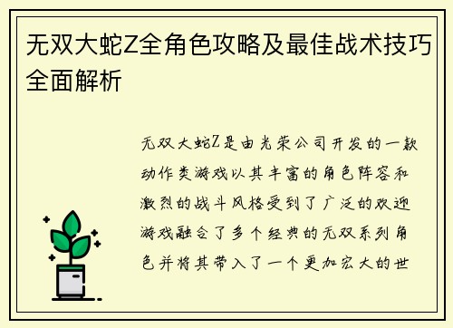 无双大蛇Z全角色攻略及最佳战术技巧全面解析